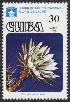 (1978-031) Сцепка (2 м) Куба "Харрисия"    Кактусы III Θ